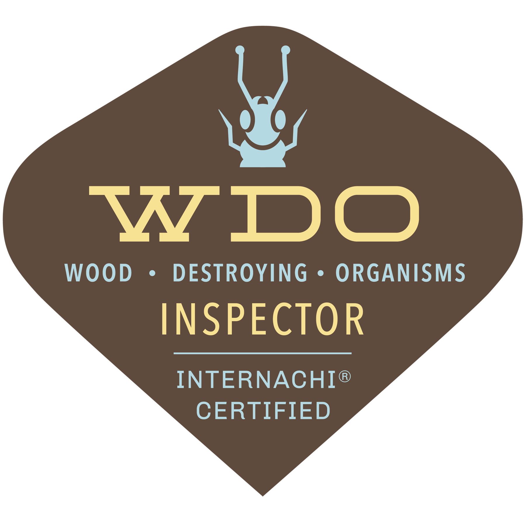 Termite Inspection